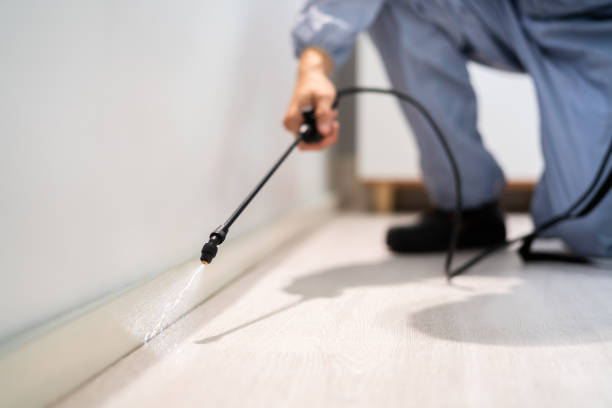 Licensed Pest Control service in Clarksburg, WV - Show Me Pest Control