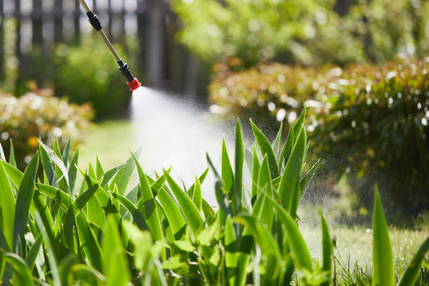 24/7 Emergency Mosquito Control experts in Clarksburg, WV