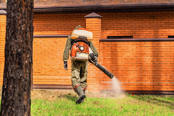 Top rated local Mosquito Control specialists in Clarksburg, WV